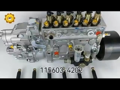 115603-4202 108622-1242