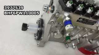3977539  BHF6PW110005