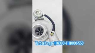 1TG300-1118100-550