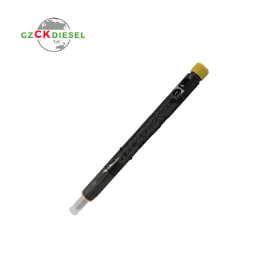 Buy Diesel Common Rail Fuel Injector EJBR05601D 166000897R online manufacture
