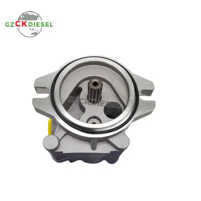 Buy Gear Pump 2897917 CA2897917 289-7917 for C9 Engine 330D 330DFM 330DL 330DLN 330DMH 336D 336DL Excavator online manufacture