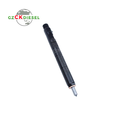 Diesel Fuel Injector EJBR04001D 166009384R for Delphi Engine