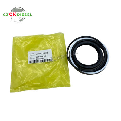 OEM Quality Boom Cylinder Seal Kits 2438U1135R300 for SK220 SK220-3 SK270LC Excavator